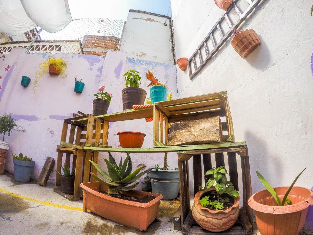 Casa Papa Chango San Cristóbal de Las Casas Buitenkant foto